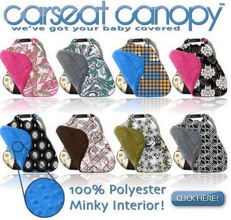 Carseat Canopy