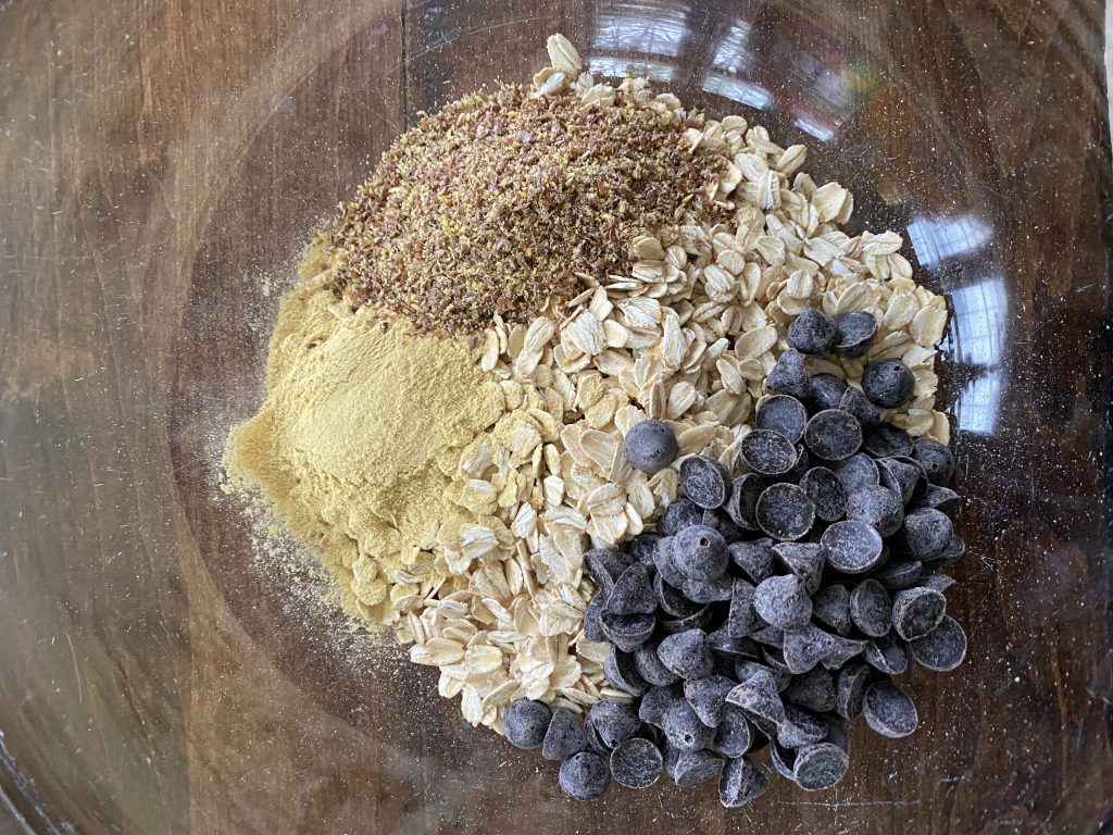 Protein/Lactation Bites Recipe SUPER EASY Free Tastes Good!